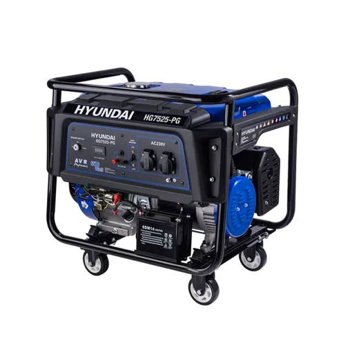 Gasoline Generator HG7727-PG