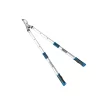 Telescopic Drop Forged Lopper Shears HT-6910